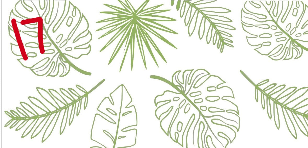 PRINTS & PATTERNS